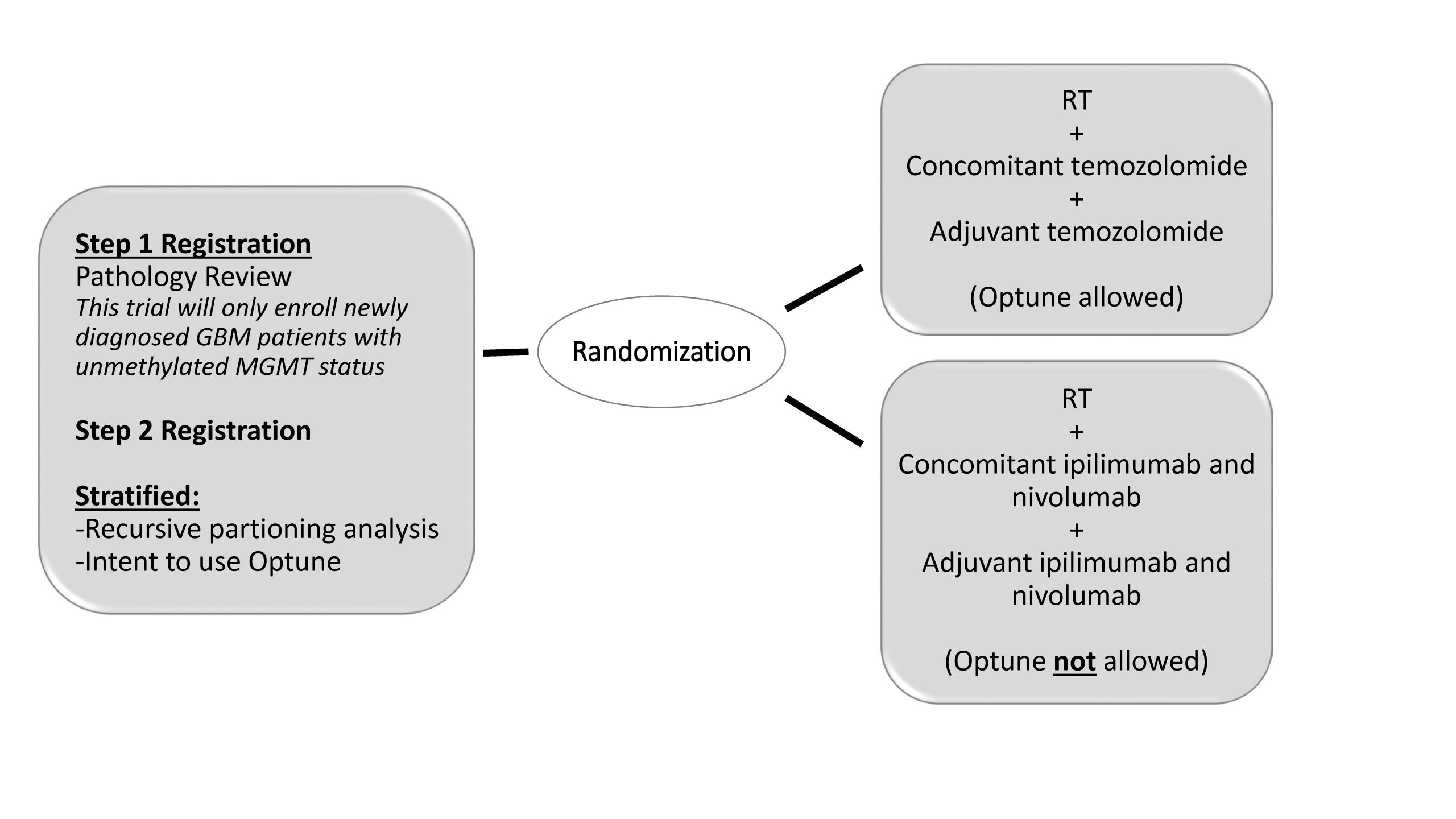 BN007 Schema.jpg BN007 Schema.jpg
