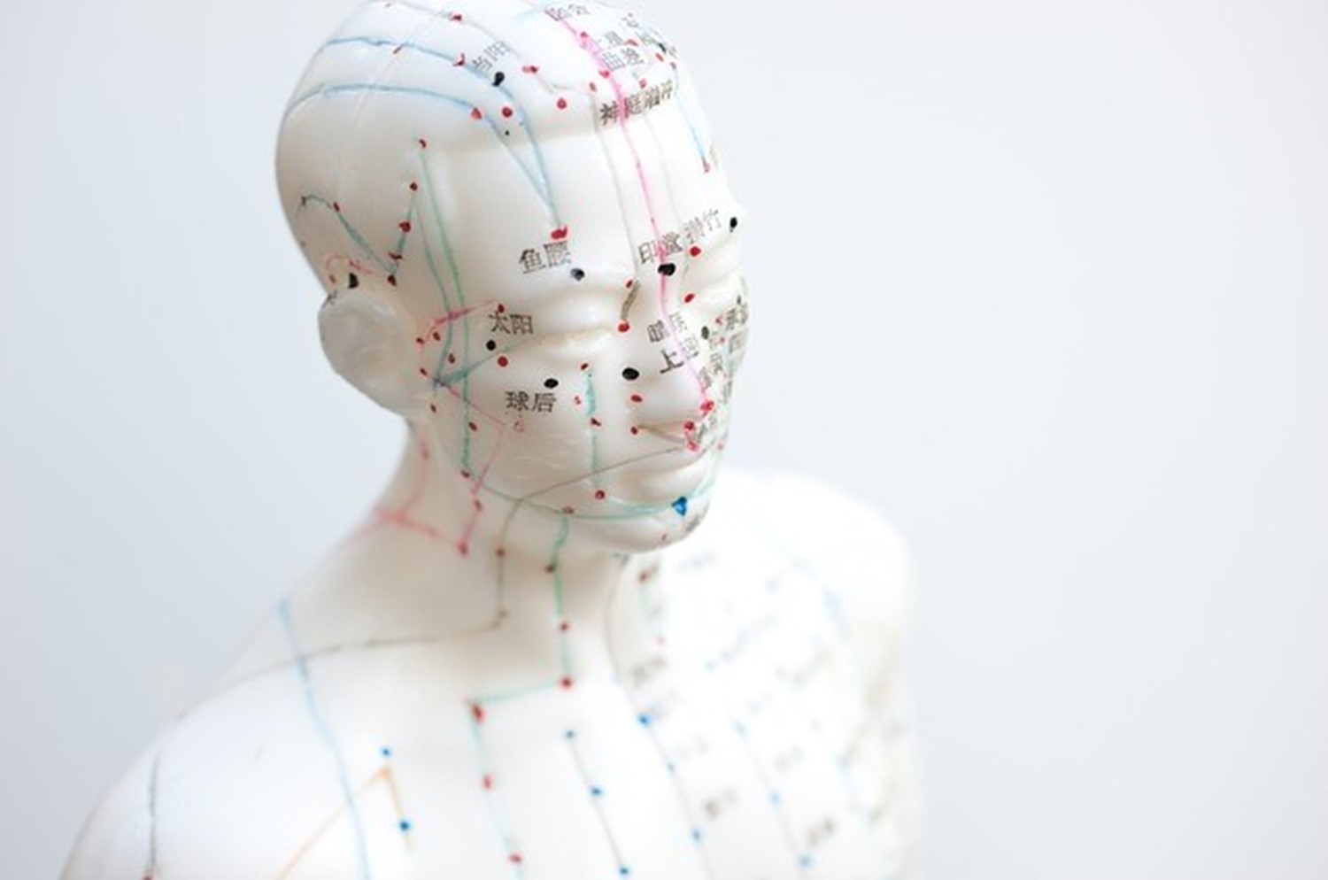 acupuncture model.jpg acupuncture model.jpg